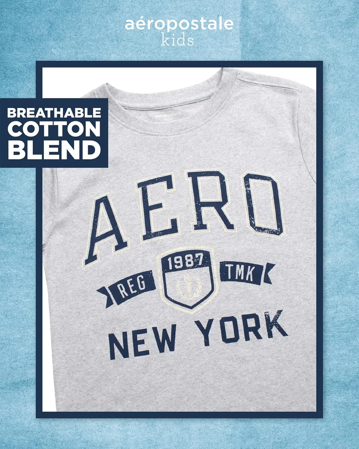 AEROPOSTALE Hoodie and T-Shirt Set - 2 Piece Pullover Hoodie Sweatshirt and Active Graphic Tee - Boys Activewear Tops (8-16)