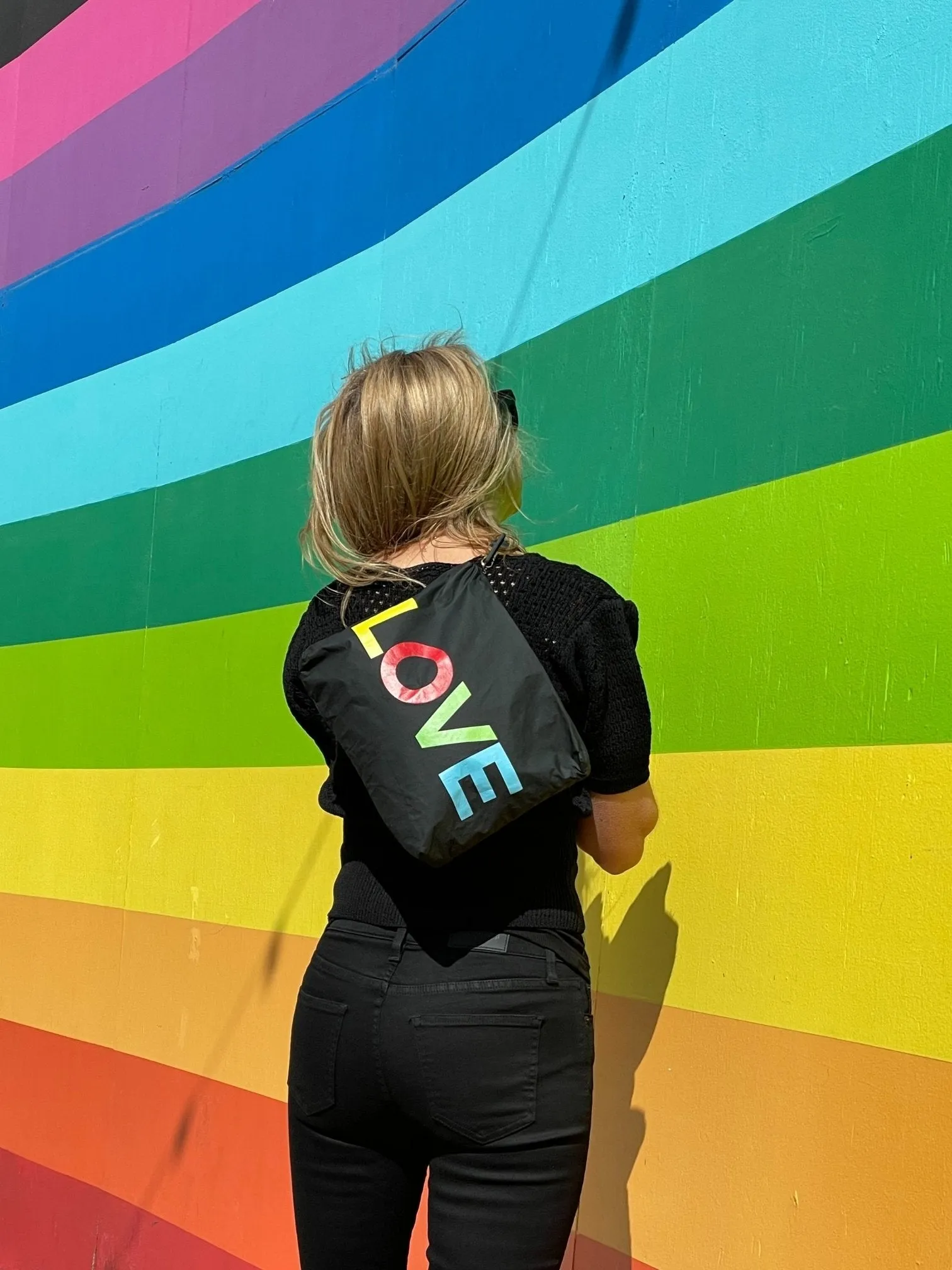 Set of Two - Organizational Packs - Black with Rainbow "LOVE"